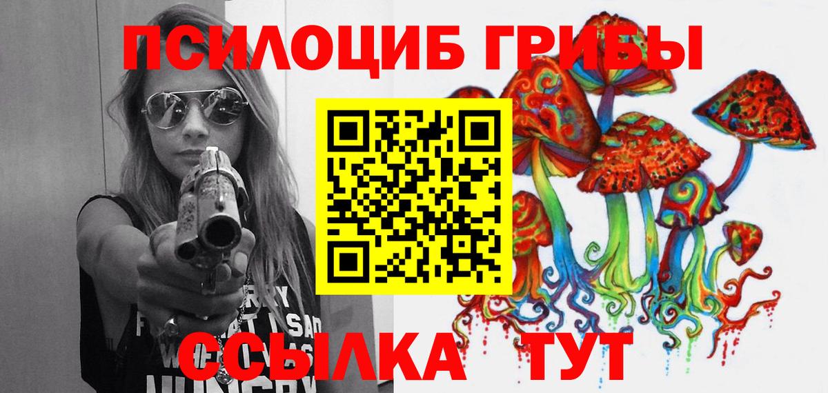 Ипатово  Псилоцибиновые грибы GOLDEN TEACHER  Вход с VPN  Галлюциногенные грибы MAGIC MUSHROOMS 